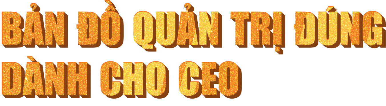 BẢN ĐỒ QUẢN TRỊ ĐÚNG DÀNH CHO CEO
